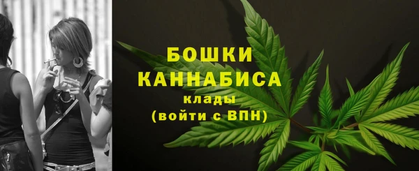 мдпв Богородск