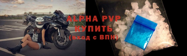 стаф Богородицк