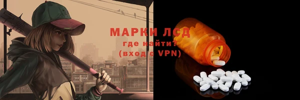мдпв Богородск
