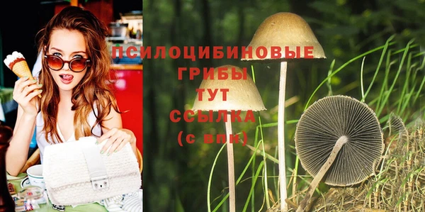 мдпв Богородск