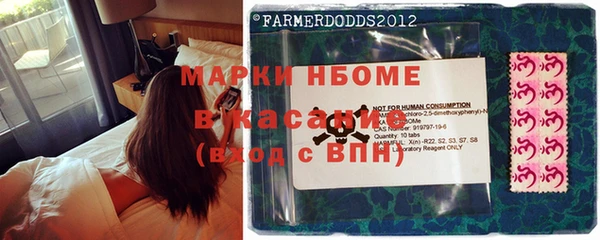 мдпв Богородск
