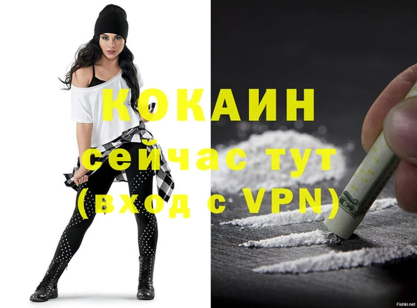стаф Богородицк