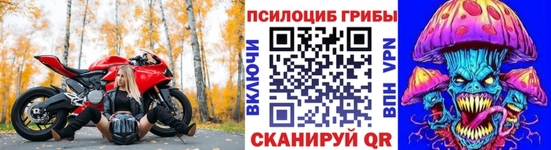 Псилоцибиновые грибы Magic Shrooms  закладки  Нерехта 